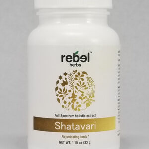 Shatavari Dual Extracted Powder