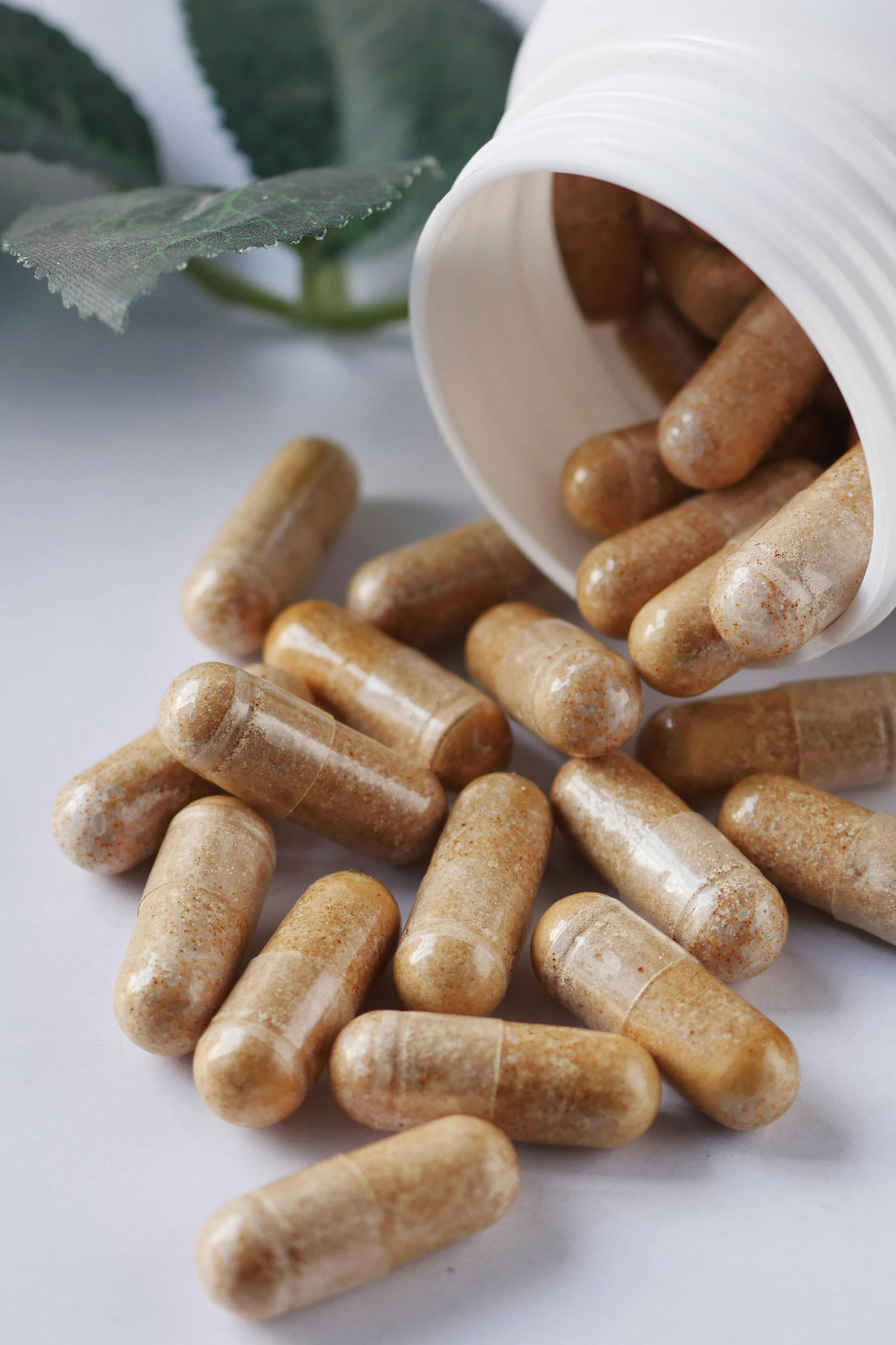 Herbal Capsules